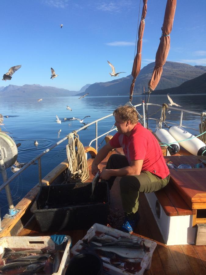 Elvegard Fjordcamp Ξενοδοχείο Grov Εξωτερικό φωτογραφία