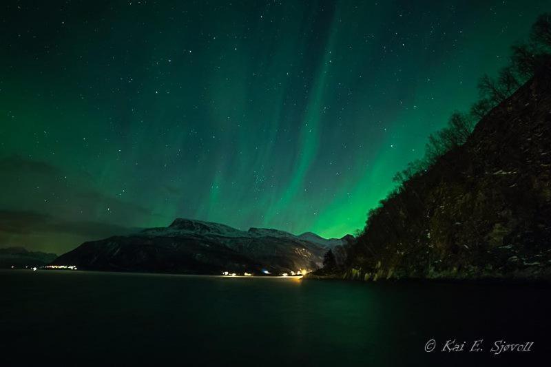 Elvegard Fjordcamp Ξενοδοχείο Grov Εξωτερικό φωτογραφία
